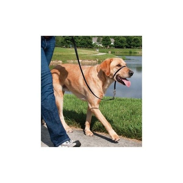 Ronzal EASY WALK T.L