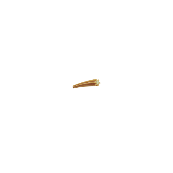 stick advance dental care