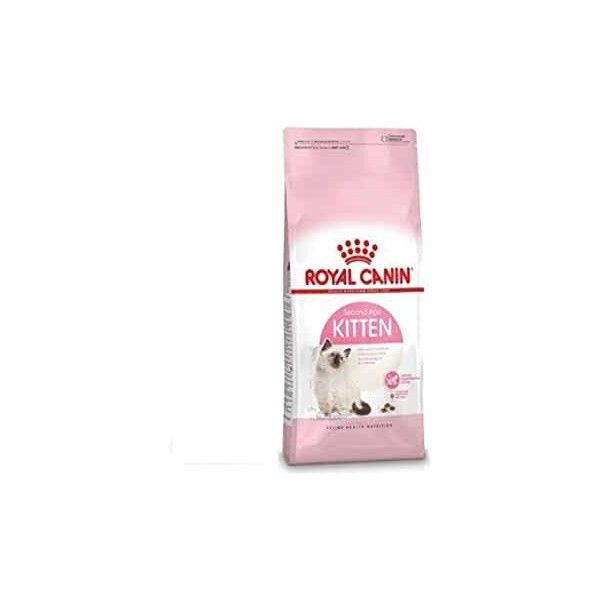 pienso royal canin kitten, 10kg